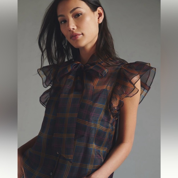 NWT gorgeous ruffle sleeve sheer shirt by Current Air for Anthropologie - Picture 2 of 11